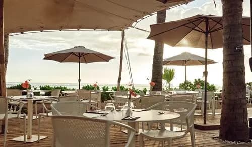 Coconut Grove