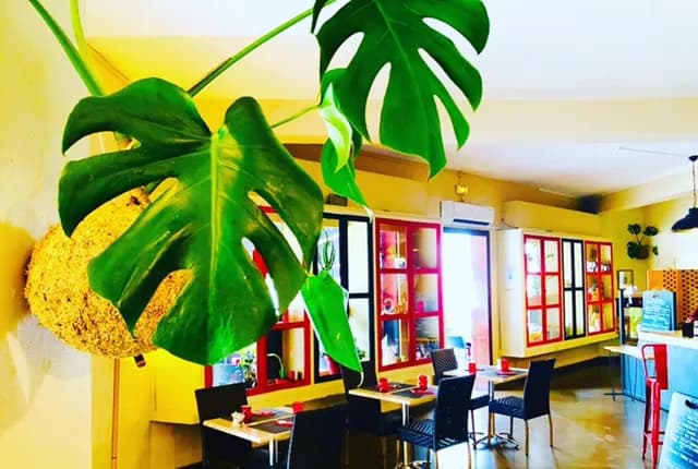La Petite Brasserie