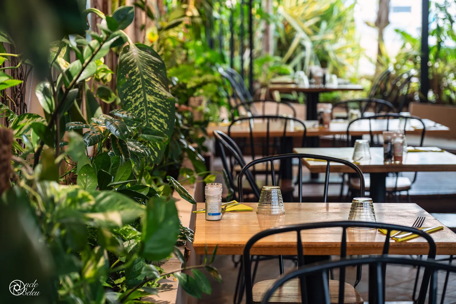 Le Bistro de la Mare